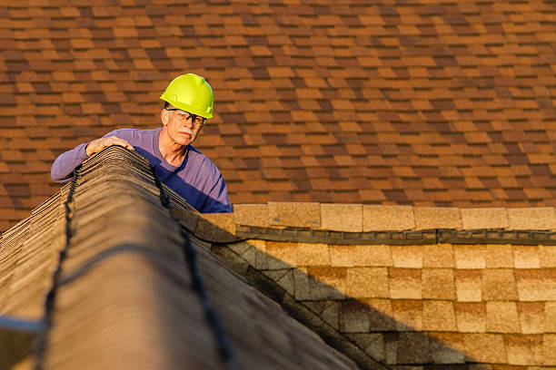 Best Roof Gutter Cleaning  in Watford City, ND